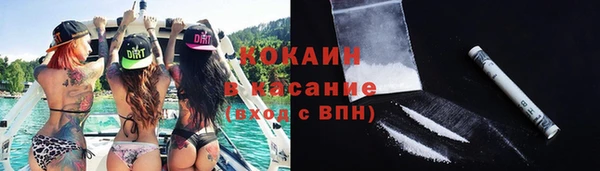 прущие грибы Алексин