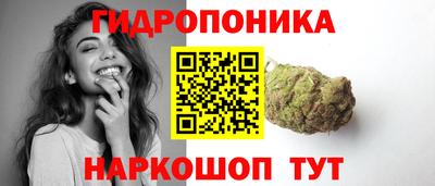 прущий лед Кингисепп