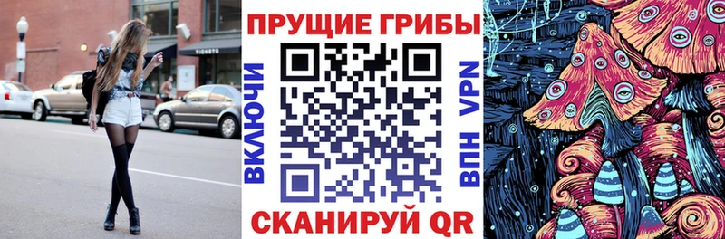 Галлюциногенные грибы GOLDEN TEACHER  где продают наркотики  Петропавловск-Камчатский 