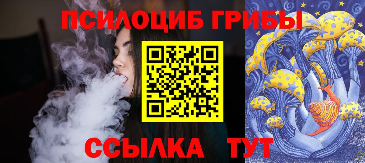Галлюциногенные грибы прущие грибы  Псилоцибиновые грибы прущие грибы  Петропавловск-Камчатский  Вход с VPN 