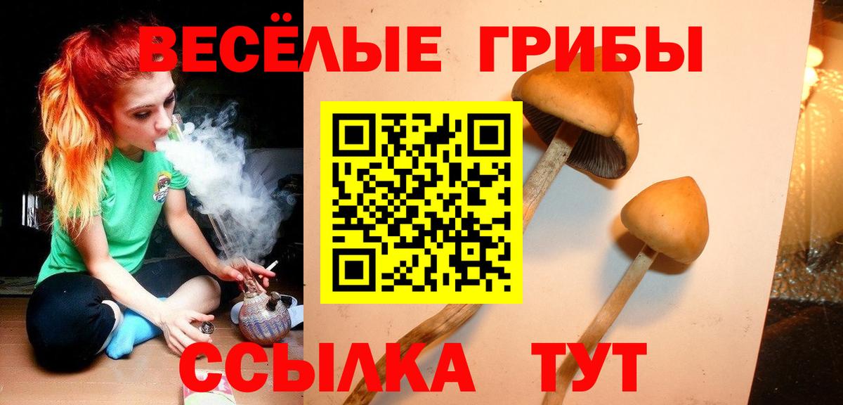 Псилоцибиновые грибы ЛСД Петропавловск-Камчатский